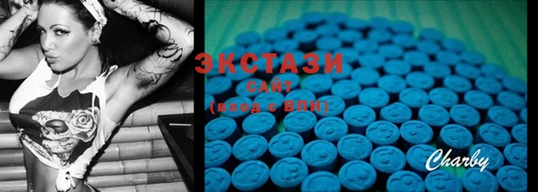 PSILOCYBIN Ельня