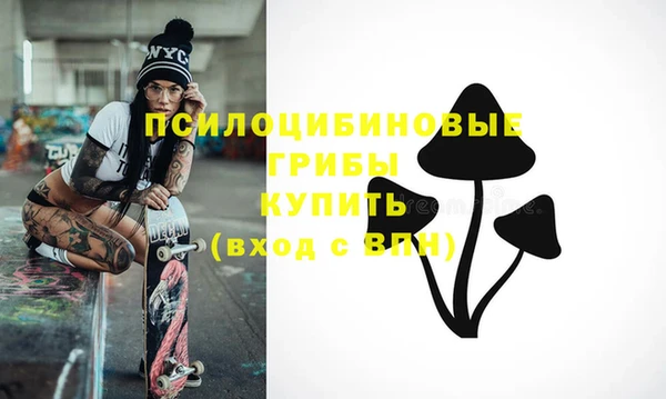 стафф Елабуга