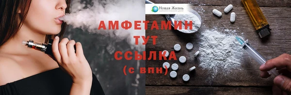 PSILOCYBIN Ельня
