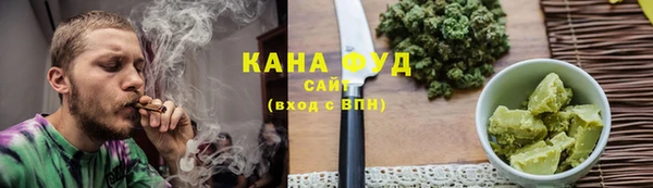 PSILOCYBIN Ельня