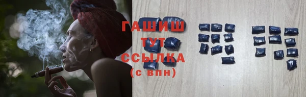 PSILOCYBIN Ельня