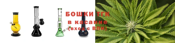 PSILOCYBIN Ельня