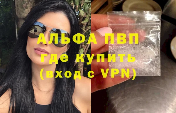 стафф Елабуга