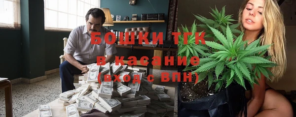 PSILOCYBIN Ельня
