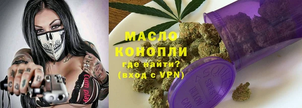 PSILOCYBIN Ельня