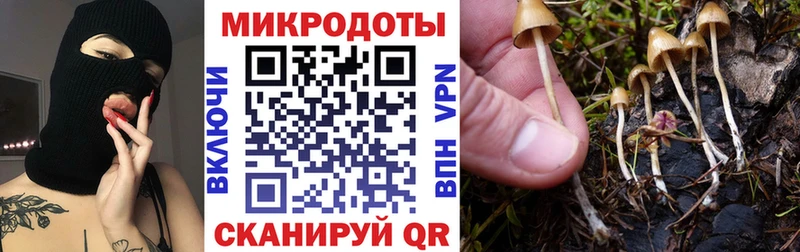 Галлюциногенные грибы прущие грибы  Купить  Злынка 